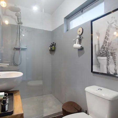 Casa Camélias Tortas Castanheira de Pera