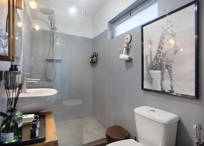 Casa Camélias Tortas Castanheira de Pera